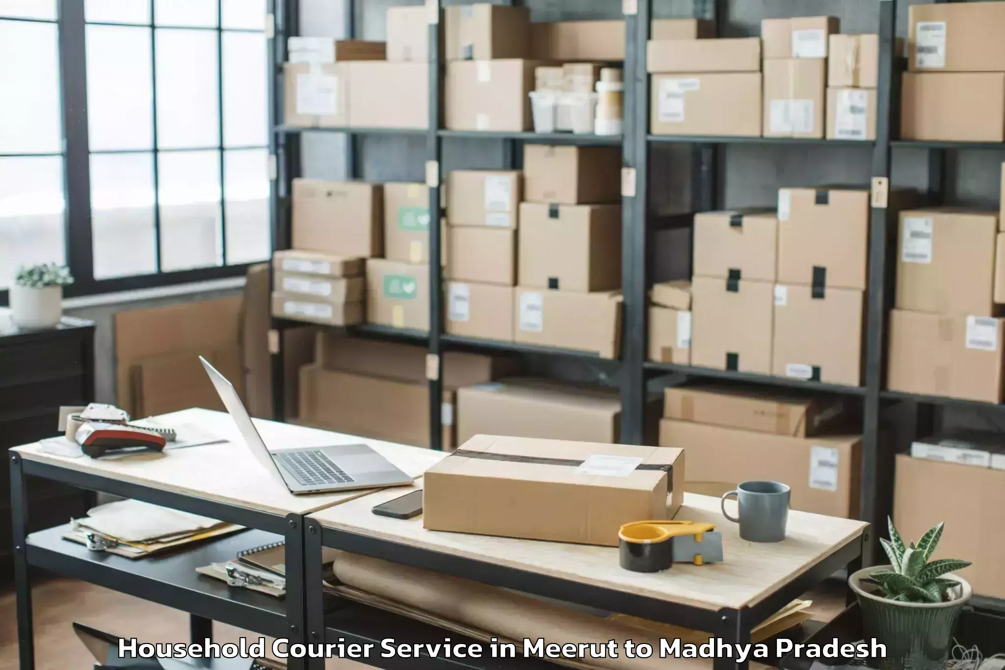 Hassle-Free Meerut to Rahatgaon Household Courier